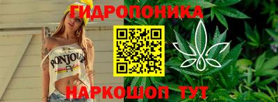 метадон Кимры