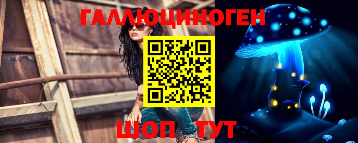 Королёв  Псилоцибиновые грибы ЛСД  Вход с VPN 